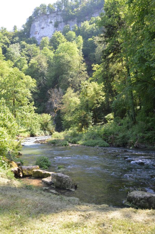 Moulin De La Cuse - L'Ilote Panzió Cusance Kültér fotó